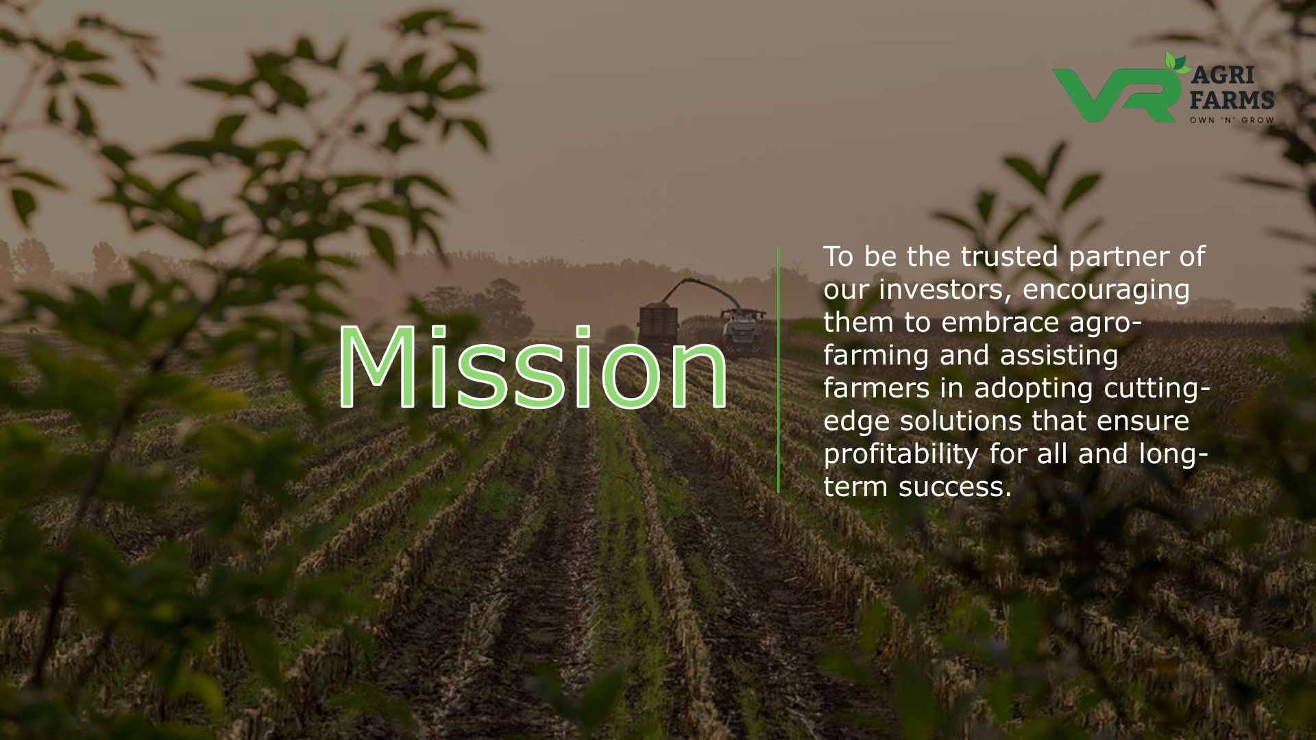 Company Profile Page 4